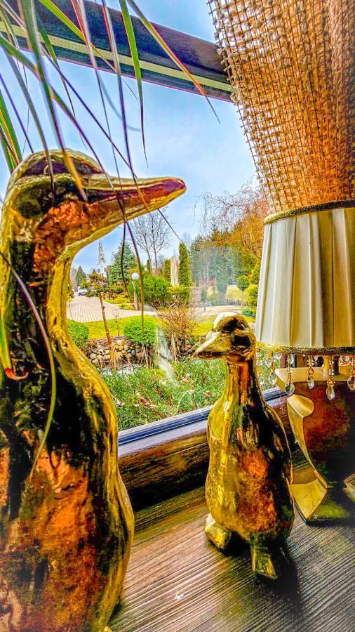 Kaktusik Hotel Augustow Luaran gambar