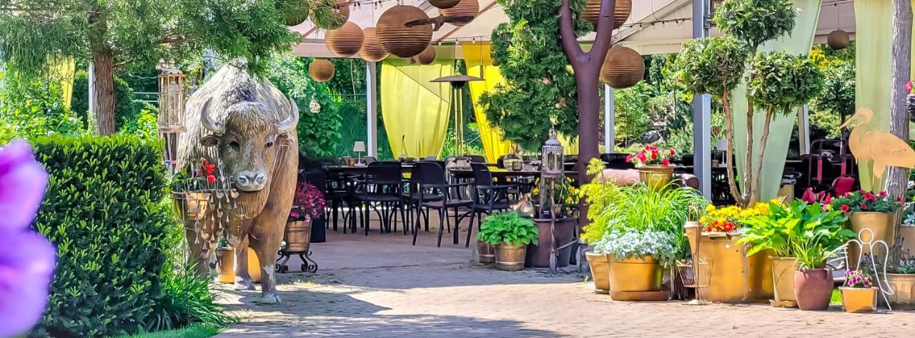 Kaktusik Hotel Augustow Luaran gambar